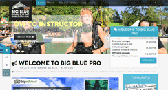 Desktop Screenshot of bigbluepro.com