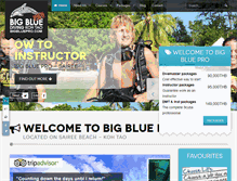 Tablet Screenshot of bigbluepro.com